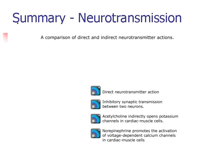 Summary - Neurotransmission 