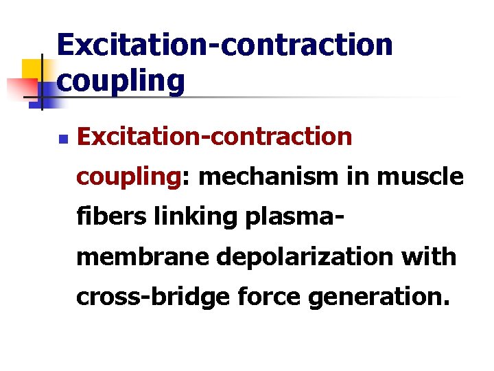 Excitation-contraction coupling n Excitation-contraction coupling: mechanism in muscle fibers linking plasmamembrane depolarization with cross-bridge