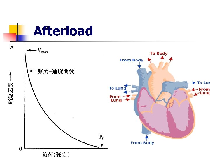 Afterload 