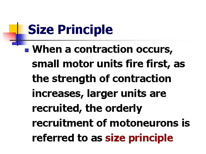 Size Principle n When a contraction occurs, small motor units fire first, as the