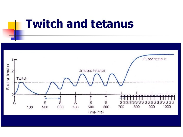 Twitch and tetanus 