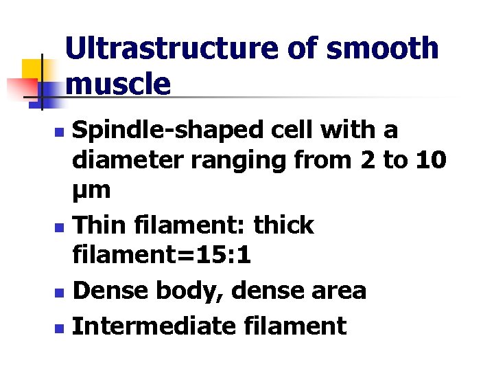 Ultrastructure of smooth muscle Spindle-shaped cell with a diameter ranging from 2 to 10