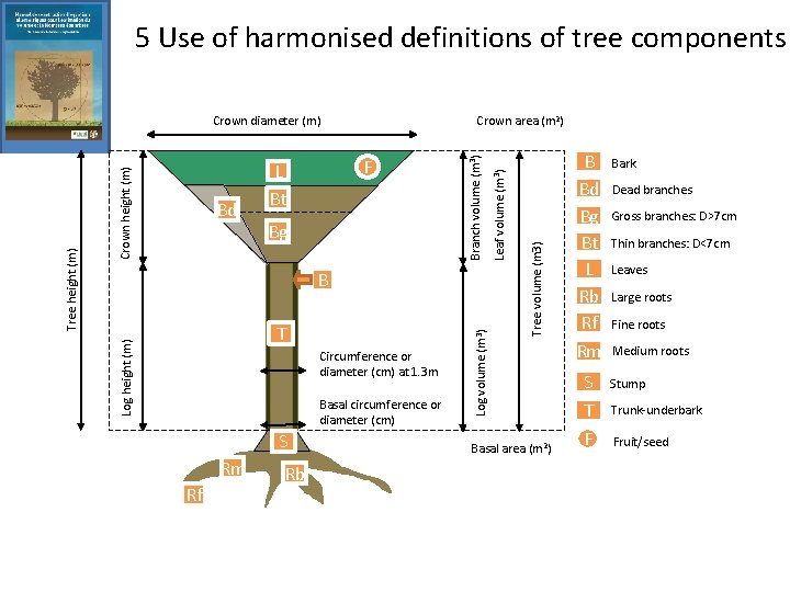 5 Use of harmonised definitions of tree components Bg T Circumference or diameter (cm)