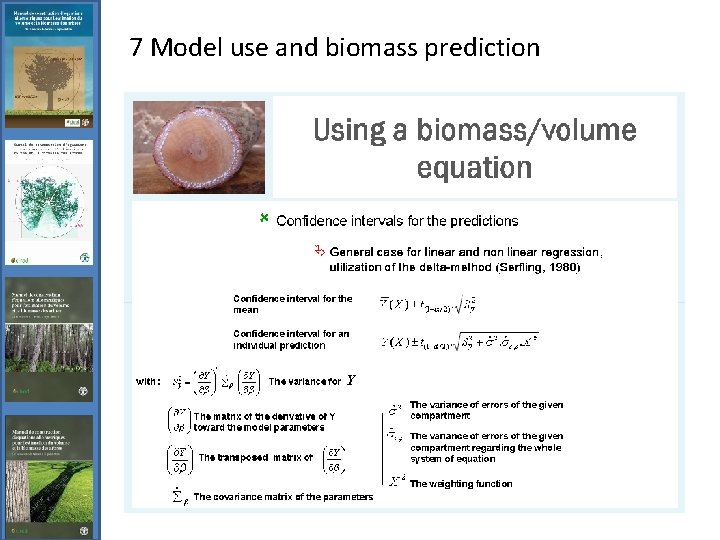 7 Model use and biomass prediction 