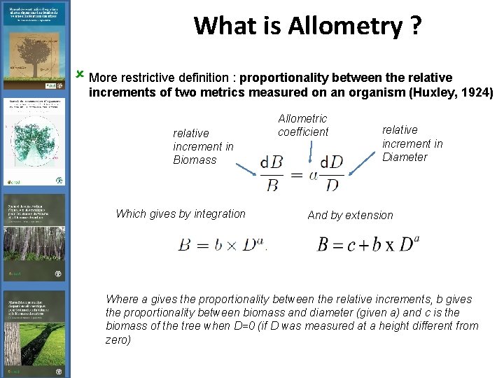 What is Allometry ? û More restrictive definition : proportionality between the relative increments