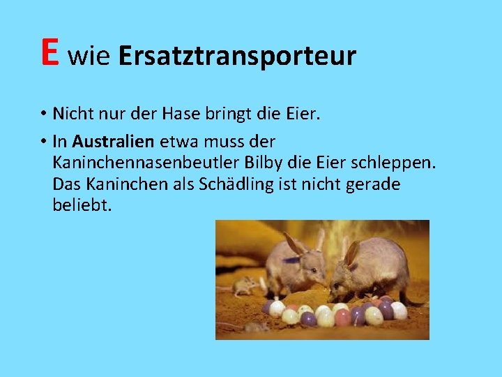 E wie Ersatztransporteur • Nicht nur der Hase bringt die Eier. • In Australien