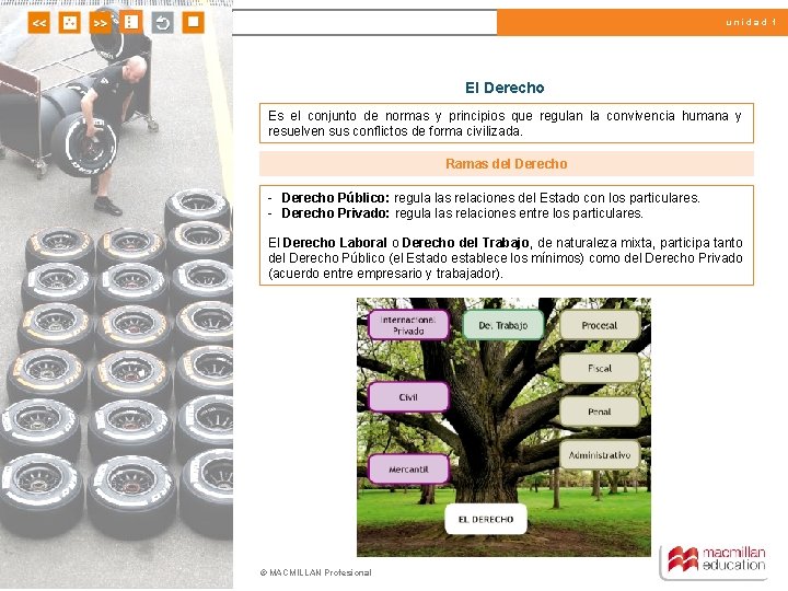 unidad 1 El Derecho Es el conjunto de normas y principios que regulan la