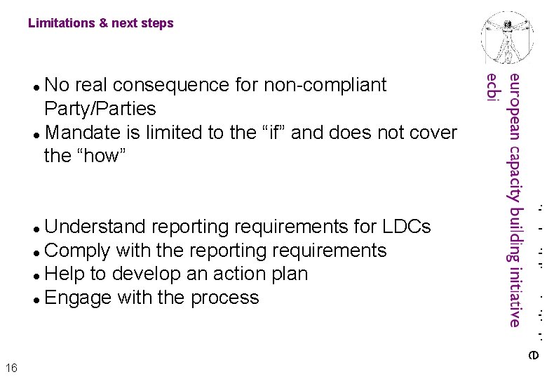 Limitations & next steps Understand reporting requirements for LDCs Comply with the reporting requirements