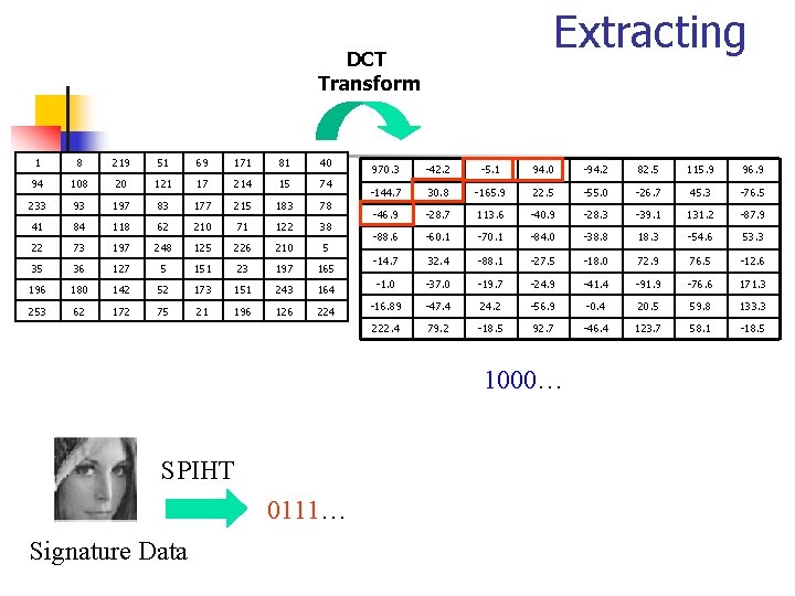 Extracting DCT Transform 1 8 219 51 69 171 81 40 94 108 20