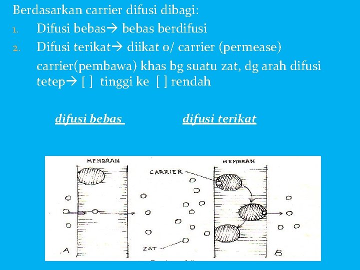 Berdasarkan carrier difusi dibagi: 1. Difusi bebas berdifusi 2. Difusi terikat diikat o/ carrier