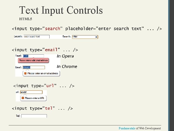 Text Input Controls HTML 5 Fundamentals of Web Development 