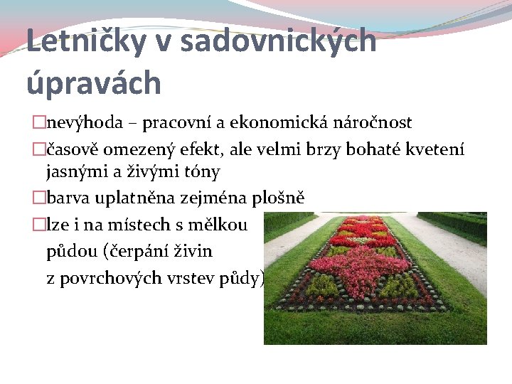 Letničky v sadovnických úpravách �nevýhoda – pracovní a ekonomická náročnost �časově omezený efekt, ale