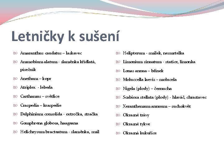 Letničky k sušení Amaranthus caudatus – laskavec Helipterum - smilek, nesmrtelka Ammobium alatum -