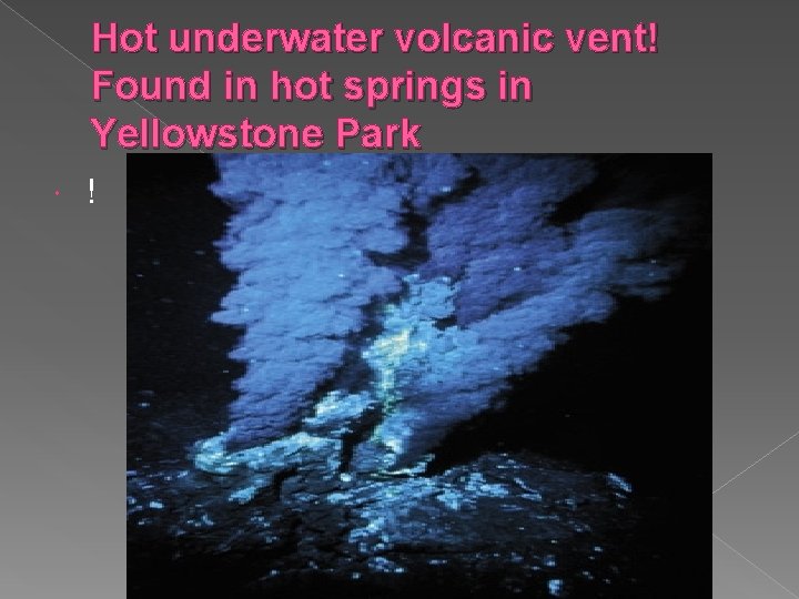 Hot underwater volcanic vent! Found in hot springs in Yellowstone Park ! 