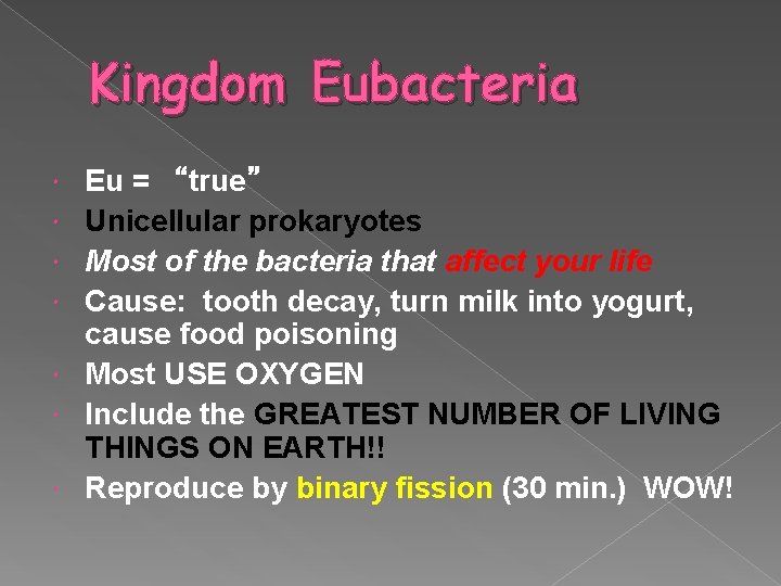 Kingdom Eubacteria Eu = “true” Unicellular prokaryotes Most of the bacteria that affect your