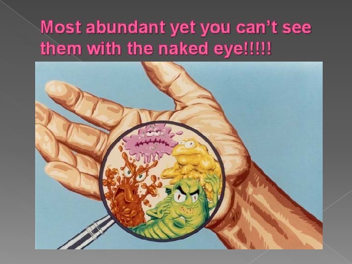 Most abundant yet you can’t see them with the naked eye!!!!! 