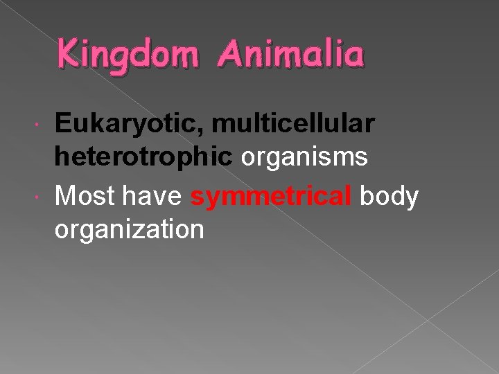 Kingdom Animalia Eukaryotic, multicellular heterotrophic organisms Most have symmetrical body organization 