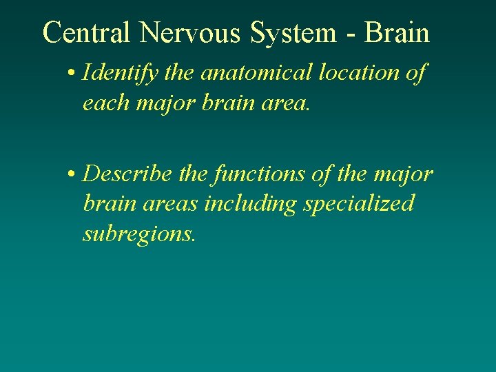 Central Nervous System - Brain • Identify the anatomical location of each major brain