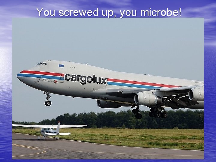 You screwed up, you microbe! 