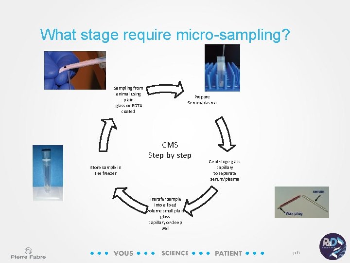 What stage require micro-sampling? Sampling from animal using plain glass or EDTA coated Prepare