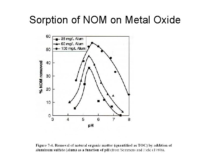 Sorption of NOM on Metal Oxide 