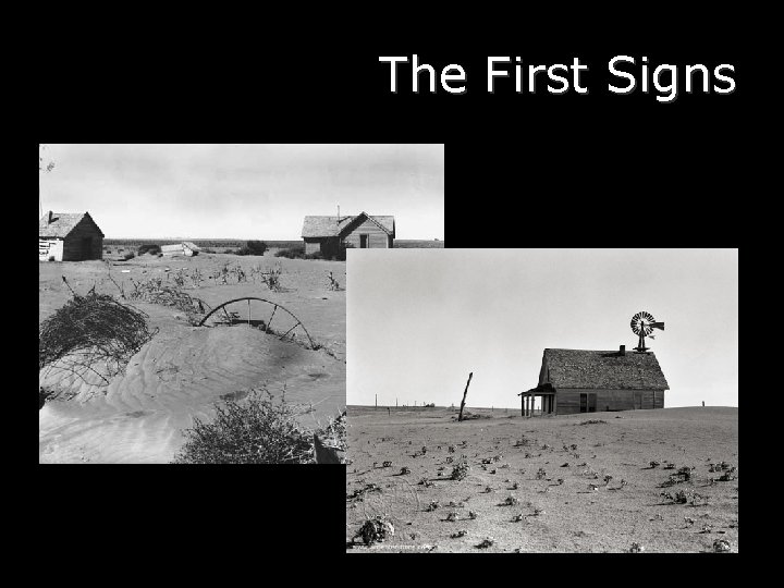 The First Signs 