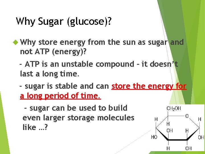 Why Sugar (glucose)? Why store energy from the sun as sugar and not ATP