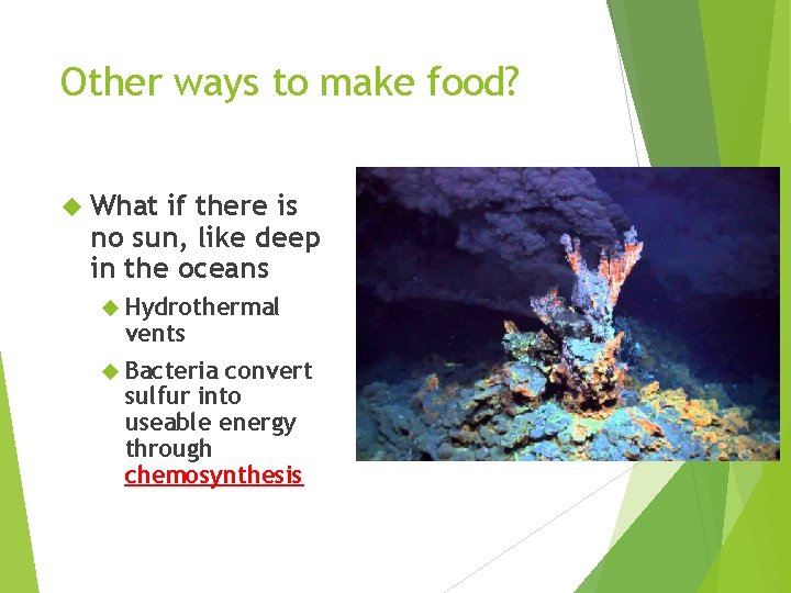 Other ways to make food? What if there is no sun, like deep in