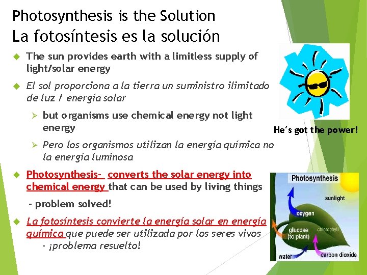 Photosynthesis is the Solution La fotosíntesis es la solución The sun provides earth with