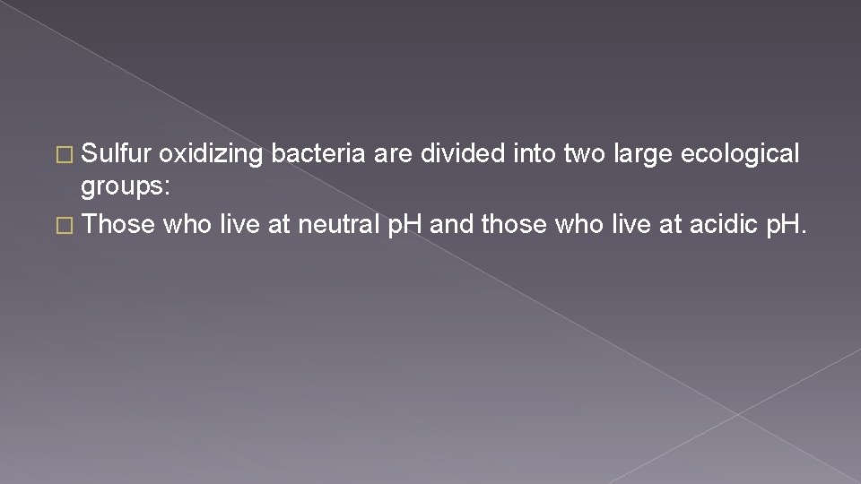 � Sulfur oxidizing bacteria are divided into two large ecological groups: � Those who
