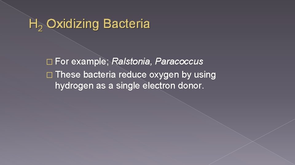 H 2 Oxidizing Bacteria � For example; Ralstonia, Paracoccus � These bacteria reduce oxygen