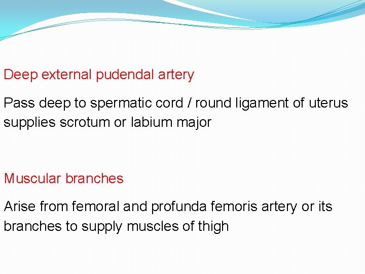 Deep external pudendal artery Pass deep to spermatic cord / round ligament of uterus