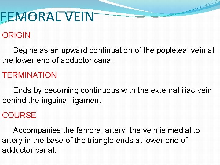 FEMORAL VEIN ORIGIN Begins as an upward continuation of the popleteal vein at the