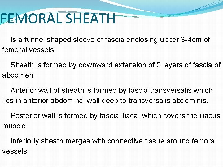 FEMORAL SHEATH Is a funnel shaped sleeve of fascia enclosing upper 3 -4 cm