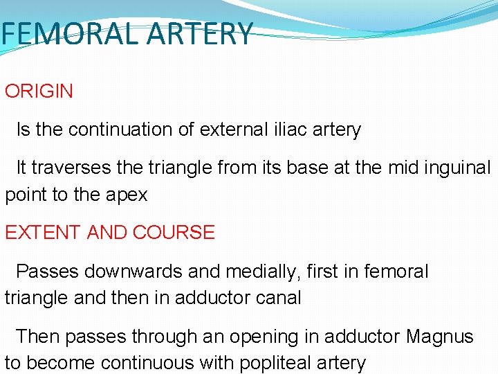 FEMORAL ARTERY ORIGIN Is the continuation of external iliac artery It traverses the triangle