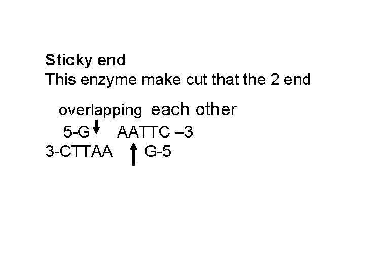 Sticky end This enzyme make cut that the 2 end overlapping each other 5