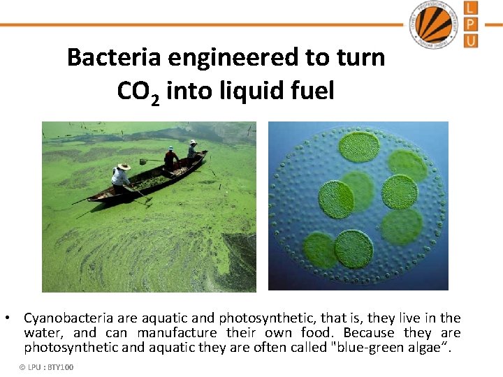 Bacteria engineered to turn CO 2 into liquid fuel • Cyanobacteria are aquatic and