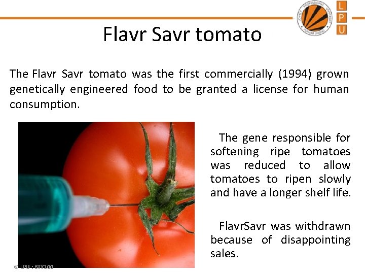 Flavr Savr tomato The Flavr Savr tomato was the first commercially (1994) grown genetically