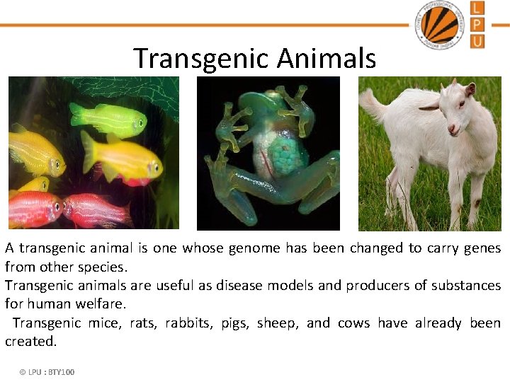 Transgenic Animals A transgenic animal is one whose genome has been changed to carry