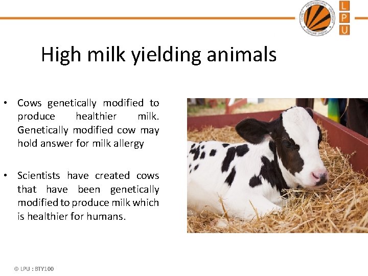 High milk yielding animals • Cows genetically modified to produce healthier milk. Genetically modified