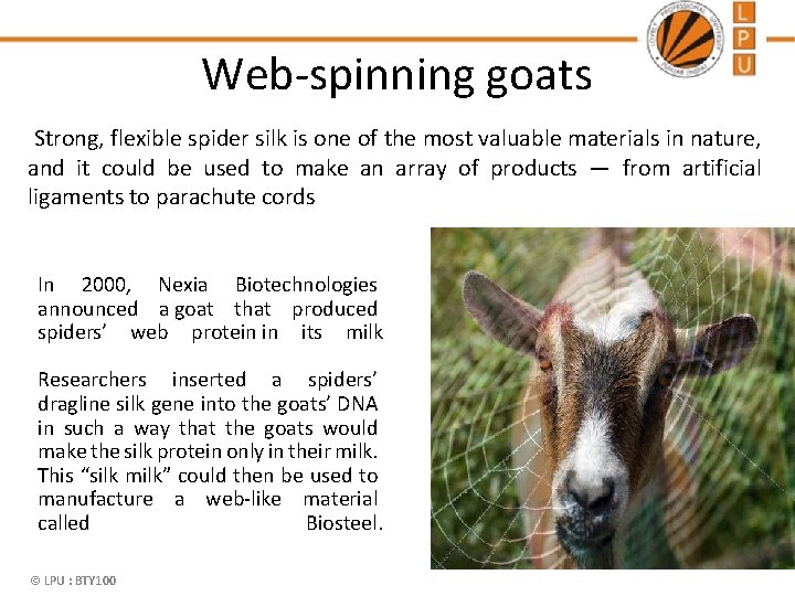 Web-spinning goats Strong, flexible spider silk is one of the most valuable materials in