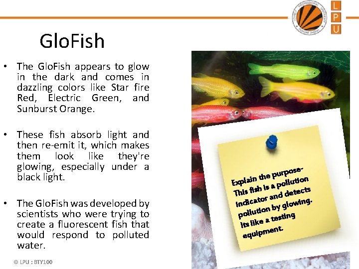 Glo. Fish • The Glo. Fish appears to glow in the dark and comes