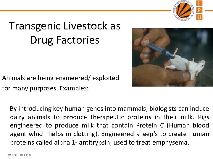 Transgenic Livestock as Drug Factories Animals are being engineered/ exploited for many purposes, Examples: