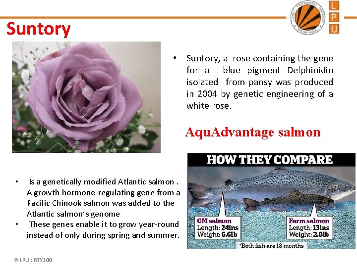 Suntory • Suntory, a rose containing the gene for a blue pigment Delphinidin isolated
