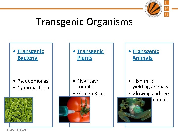 Transgenic Organisms • Transgenic Bacteria • Transgenic Plants • Transgenic Animals • Pseudomonas •