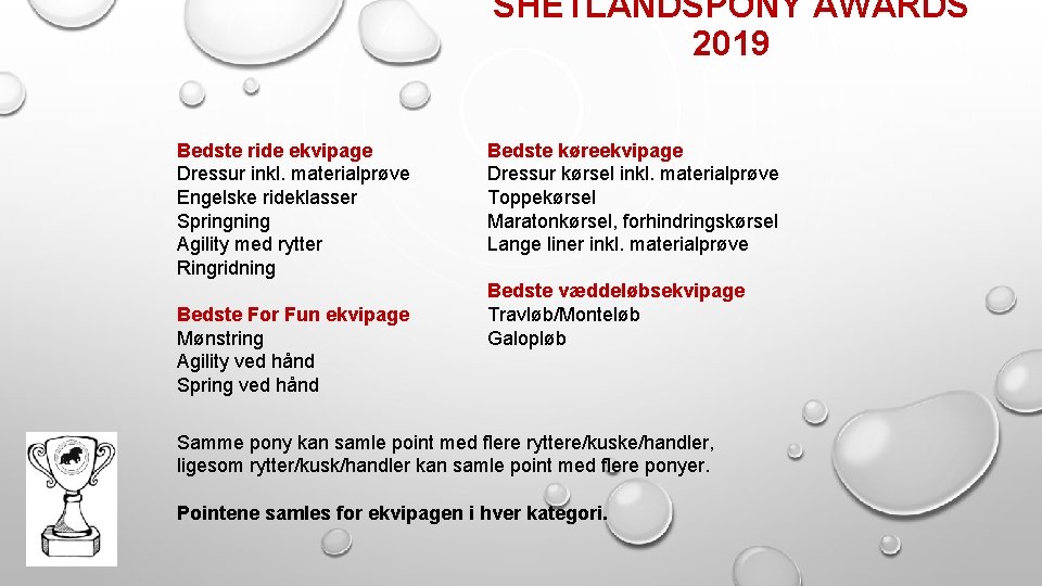 SHETLANDSPONY AWARDS 2019 Bedste ride ekvipage Dressur inkl. materialprøve Engelske rideklasser Springning Agility med