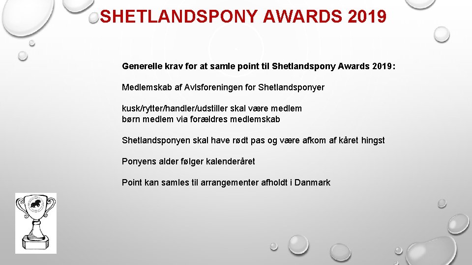 SHETLANDSPONY AWARDS 2019 Generelle krav for at samle point til Shetlandspony Awards 2019: Medlemskab