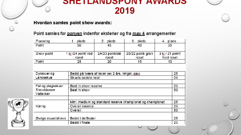 SHETLANDSPONY AWARDS 2019 Hvordan samles point show awards: Point samles for ponyen indenfor eksteriør