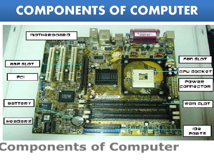 COMPONENTS OF COMPUTER 