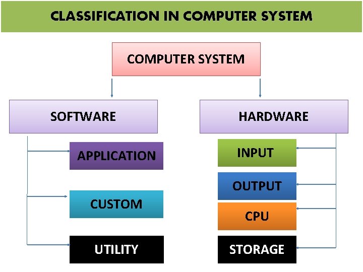 CLASSIFICATION IN COMPUTER SYSTEM SOFTWARE APPLICATION HARDWARE INPUT OUTPUT CUSTOM UTILITY CPU STORAGE 